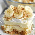 NO BAKE BANANA PUDDING DESSERT