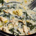 Crock Pot Chicken Spinach and Artichoke Soup