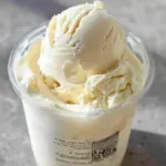 Ninja Creami vanilla ice cream recipe